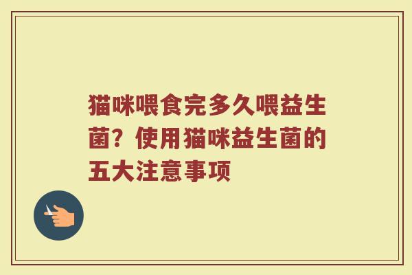猫咪喂食完多久喂益生菌？使用猫咪益生菌的五大注意事项