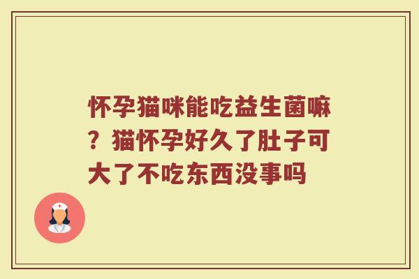 怀孕猫咪能吃益生菌嘛？猫怀孕好久了肚子可大了不吃东西没事吗