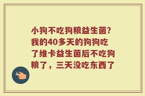 小狗不吃狗粮益生菌？我的40多天的狗狗吃了维卡益生菌后不吃狗粮了，三天没吃东西了