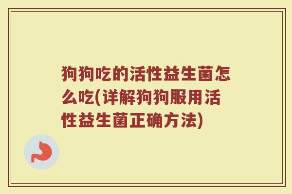 狗狗吃的活性益生菌怎么吃(详解狗狗服用活性益生菌正确方法)