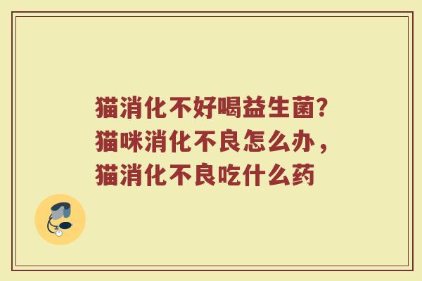 猫消化不好喝益生菌？猫咪消化不良怎么办，猫消化不良吃什么药