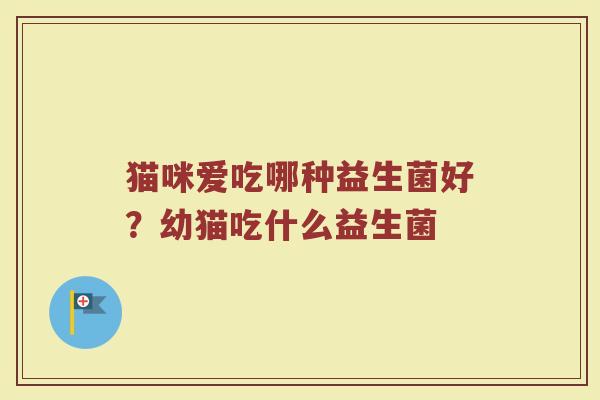 猫咪爱吃哪种益生菌好？幼猫吃什么益生菌
