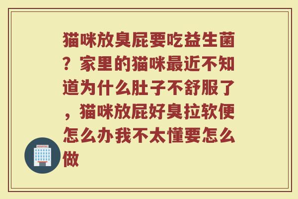 猫咪放臭屁要吃益生菌?家里的猫咪近不知道为什么肚子不舒服了,猫咪放屁好臭拉软便怎么办我不太懂要怎么做 猫咪放臭屁要吃益生菌?家里的猫咪近不知道为什么肚子不舒服了,猫咪放屁好臭拉软便怎么办我不太懂要怎么做
