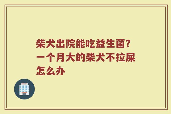 柴犬出院能吃益生菌？一个月大的柴犬不拉屎怎么办
