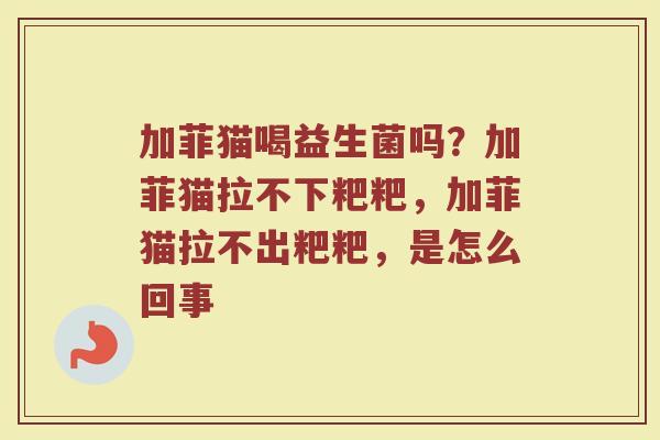 加菲猫喝益生菌吗?加菲猫拉不下粑粑,加菲猫拉不出粑粑,是怎么回事 加菲猫喝益生菌吗?加菲猫拉不下粑粑,加菲猫拉不出粑粑,是怎么回事