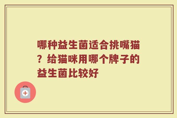 哪种益生菌适合挑嘴猫？给猫咪用哪个牌子的益生菌比较好