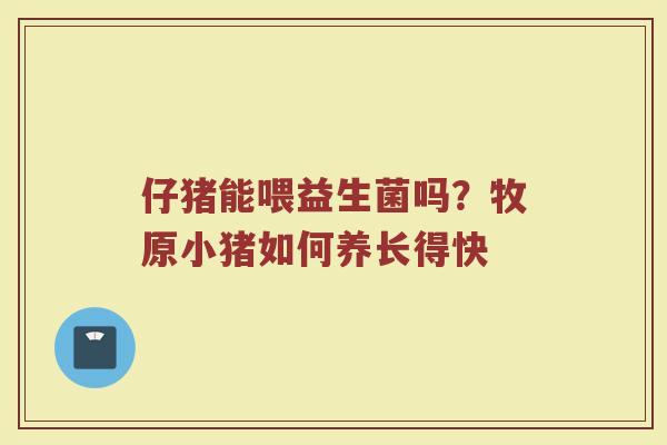 仔猪能喂益生菌吗？牧原小猪如何养长得快