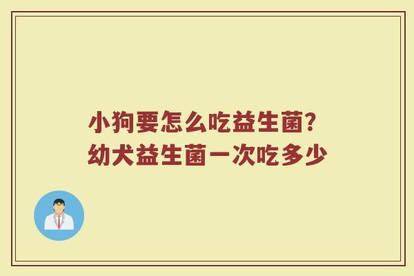 小狗要怎么吃益生菌？幼犬益生菌一次吃多少
