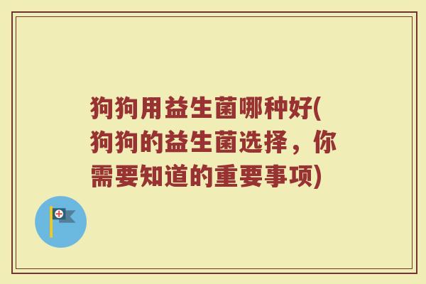 狗狗用益生菌哪种好(狗狗的益生菌选择，你需要知道的重要事项)