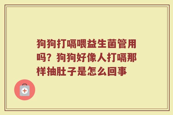狗狗打嗝喂益生菌管用吗？狗狗好像人打嗝那样抽肚子是怎么回事
