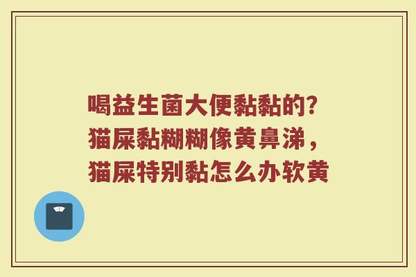 喝益生菌大便黏黏的？猫屎黏糊糊像黄鼻涕，猫屎特别黏怎么办软黄