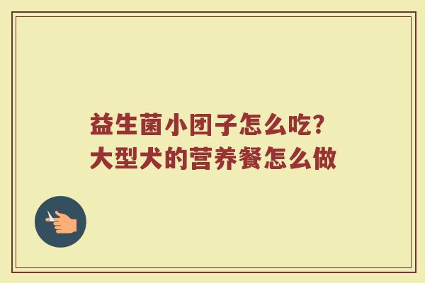 益生菌小团子怎么吃？大型犬的营养餐怎么做