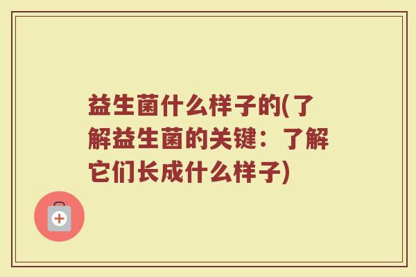 益生菌什么样子的(了解益生菌的关键:了解它们长成什么样子) 益生菌什么样子的(了解益生菌的关键:了解它们长成什么样子)