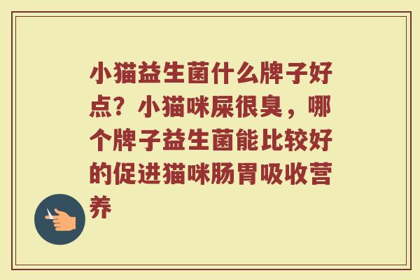 小猫益生菌什么牌子好点？小猫咪屎很臭，哪个牌子益生菌能比较好的促进猫咪肠胃吸收营养