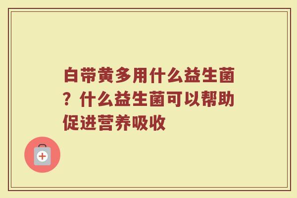 白带黄多用什么益生菌？什么益生菌可以帮助促进营养吸收