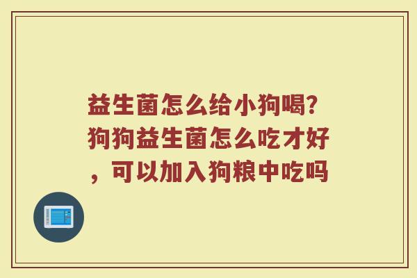 益生菌怎么给小狗喝?狗狗益生菌怎么吃才好,可以加入狗粮中吃吗 益生菌怎么给小狗喝?狗狗益生菌怎么吃才好,可以加入狗粮中吃吗