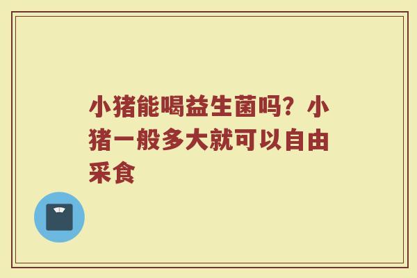 小猪能喝益生菌吗？小猪一般多大就可以自由采食