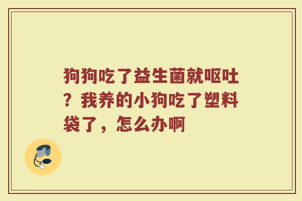 狗狗吃了益生菌就?我养的小狗吃了塑料袋了,怎么办啊 狗狗吃了益生菌就?我养的小狗吃了塑料袋了,怎么办啊