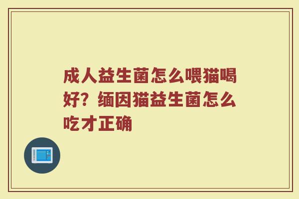成人益生菌怎么喂猫喝好?缅因猫益生菌怎么吃才正确 成人益生菌怎么喂猫喝好?缅因猫益生菌怎么吃才正确