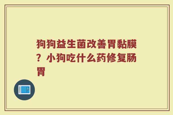 狗狗益生菌改善胃黏膜？小狗吃什么药修复肠胃
