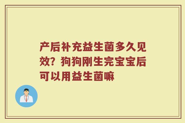 产后补充益生菌多久见效？狗狗刚生完宝宝后可以用益生菌嘛