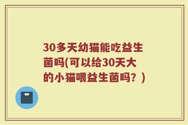30多天幼猫能吃益生菌吗(可以给30天大的小猫喂益生菌吗?) 30多天幼猫能吃益生菌吗(可以给30天大的小猫喂益生菌吗?)