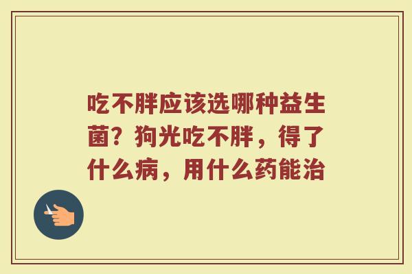 吃不胖应该选哪种益生菌？狗光吃不胖，得了什么病，用什么药能治