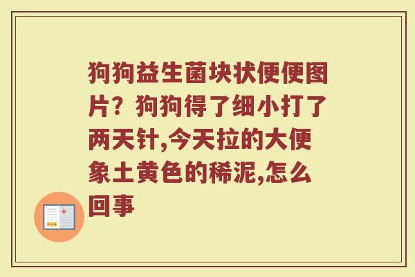 狗狗益生菌块状便便图片？狗狗得了细小打了两天针,今天拉的大便象土黄色的稀泥,怎么回事