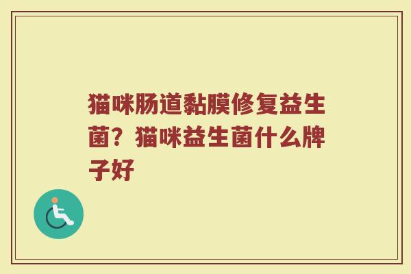 猫咪肠道黏膜修复益生菌?猫咪益生菌什么牌子好 猫咪肠道黏膜修复益生菌?猫咪益生菌什么牌子好