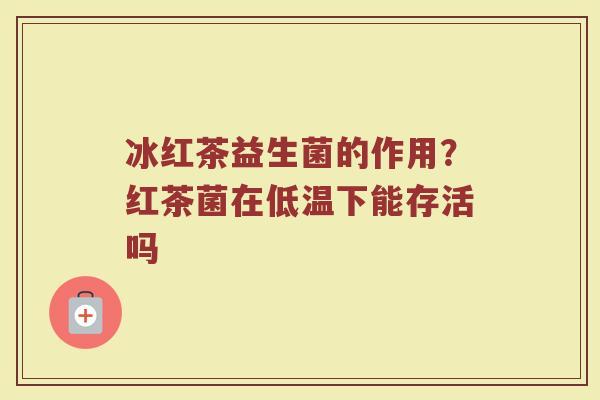 冰红茶益生菌的作用？红茶菌在低温下能存活吗