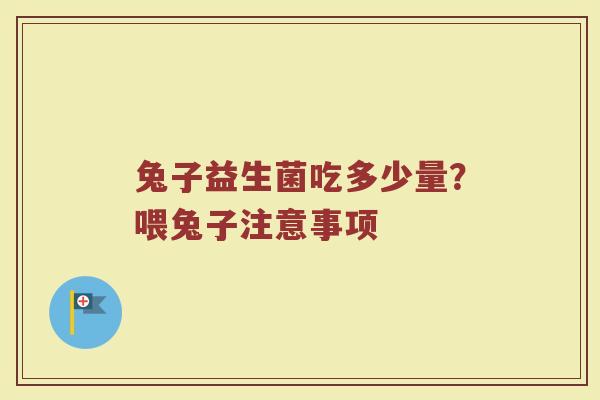 兔子益生菌吃多少量？喂兔子注意事项