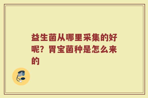 益生菌从哪里采集的好呢？胃宝菌种是怎么来的