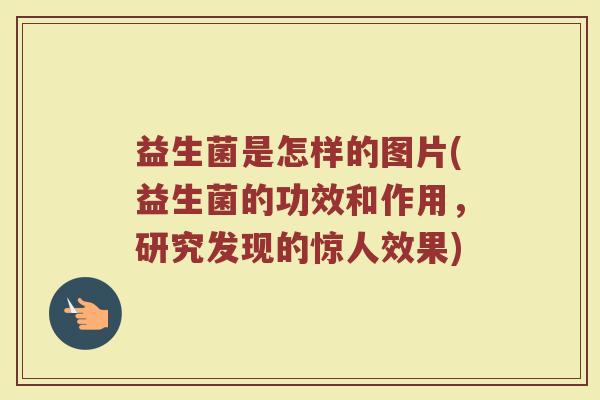 益生菌是怎样的图片(益生菌的功效和作用，研究发现的惊人效果)