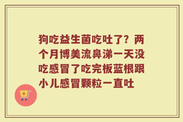 狗吃益生菌吃吐了？两个月博美流鼻涕一天没吃感冒了吃完板蓝根跟小儿感冒颗粒一直吐
