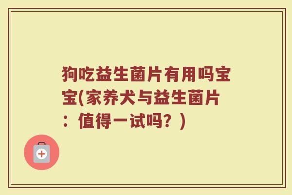 狗吃益生菌片有用吗宝宝(家养犬与益生菌片：值得一试吗？)