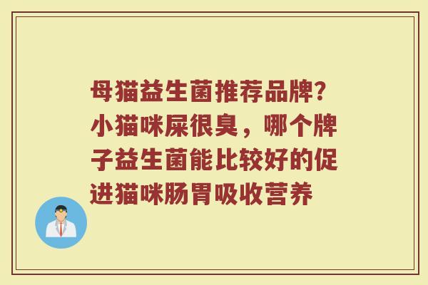 母猫益生菌推荐品牌？小猫咪屎很臭，哪个牌子益生菌能比较好的促进猫咪肠胃吸收营养