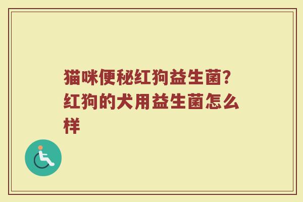 猫咪红狗益生菌?红狗的犬用益生菌怎么样 猫咪红狗益生菌?红狗的犬用益生菌怎么样