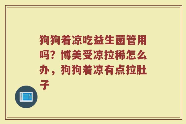 狗狗着凉吃益生菌管用吗？博美受凉拉稀怎么办，狗狗着凉有点拉肚子