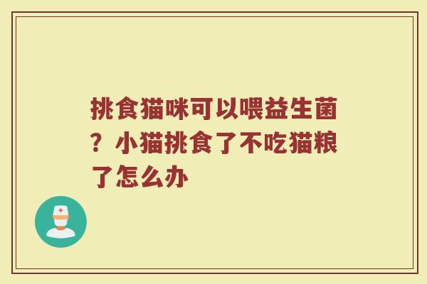 挑食猫咪可以喂益生菌?小猫挑食了不吃猫粮了怎么办 挑食猫咪可以喂益生菌?小猫挑食了不吃猫粮了怎么办