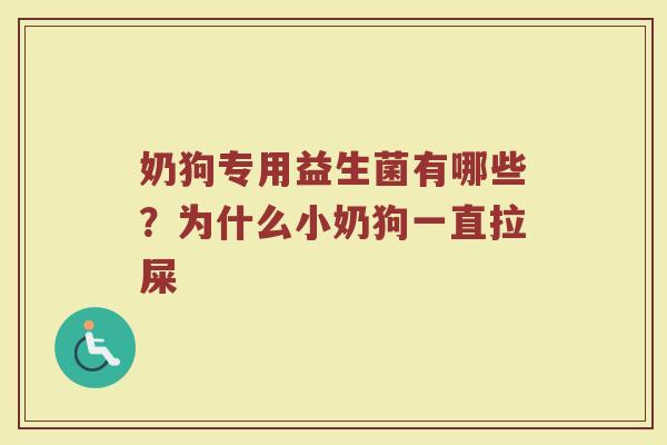 奶狗专用益生菌有哪些？为什么小奶狗一直拉屎