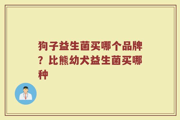 狗子益生菌买哪个品牌？比熊幼犬益生菌买哪种
