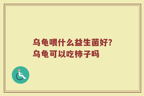 乌龟喂什么益生菌好？乌龟可以吃柿子吗