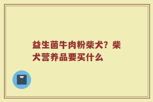 益生菌牛肉粉柴犬？柴犬营养品要买什么
