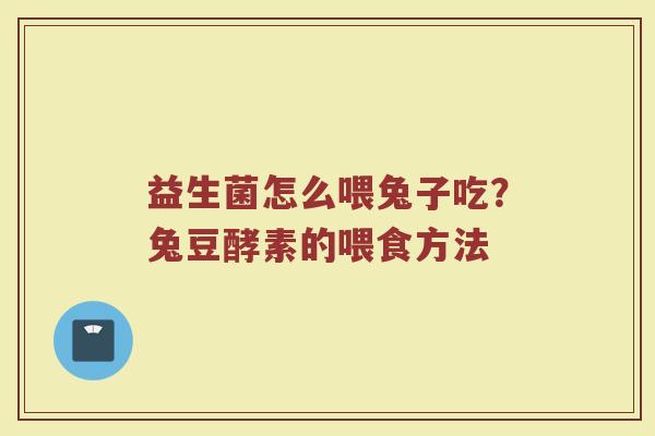 益生菌怎么喂兔子吃？兔豆酵素的喂食方法