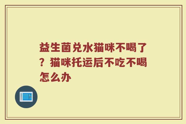 益生菌兑水猫咪不喝了？猫咪托运后不吃不喝怎么办