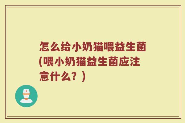 怎么给小奶猫喂益生菌(喂小奶猫益生菌应注意什么？)