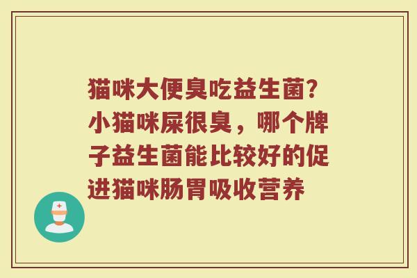 猫咪大便臭吃益生菌？小猫咪屎很臭，哪个牌子益生菌能比较好的促进猫咪肠胃吸收营养