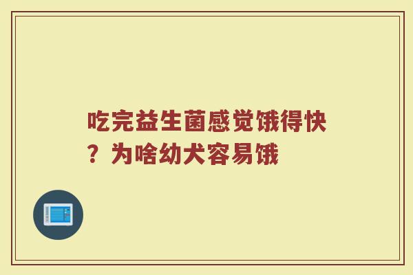 吃完益生菌感觉饿得快？为啥幼犬容易饿