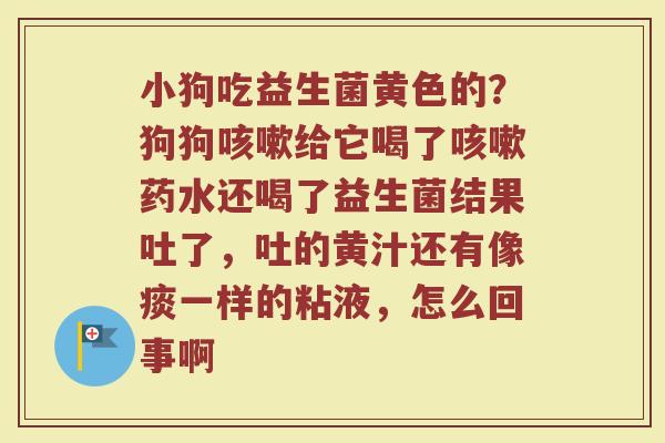 小狗吃益生菌黄色的？狗狗咳嗽给它喝了咳嗽药水还喝了益生菌结果吐了，吐的黄汁还有像痰一样的粘液，怎么回事啊
