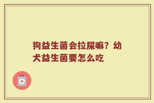 狗益生菌会拉屎嘛？幼犬益生菌要怎么吃